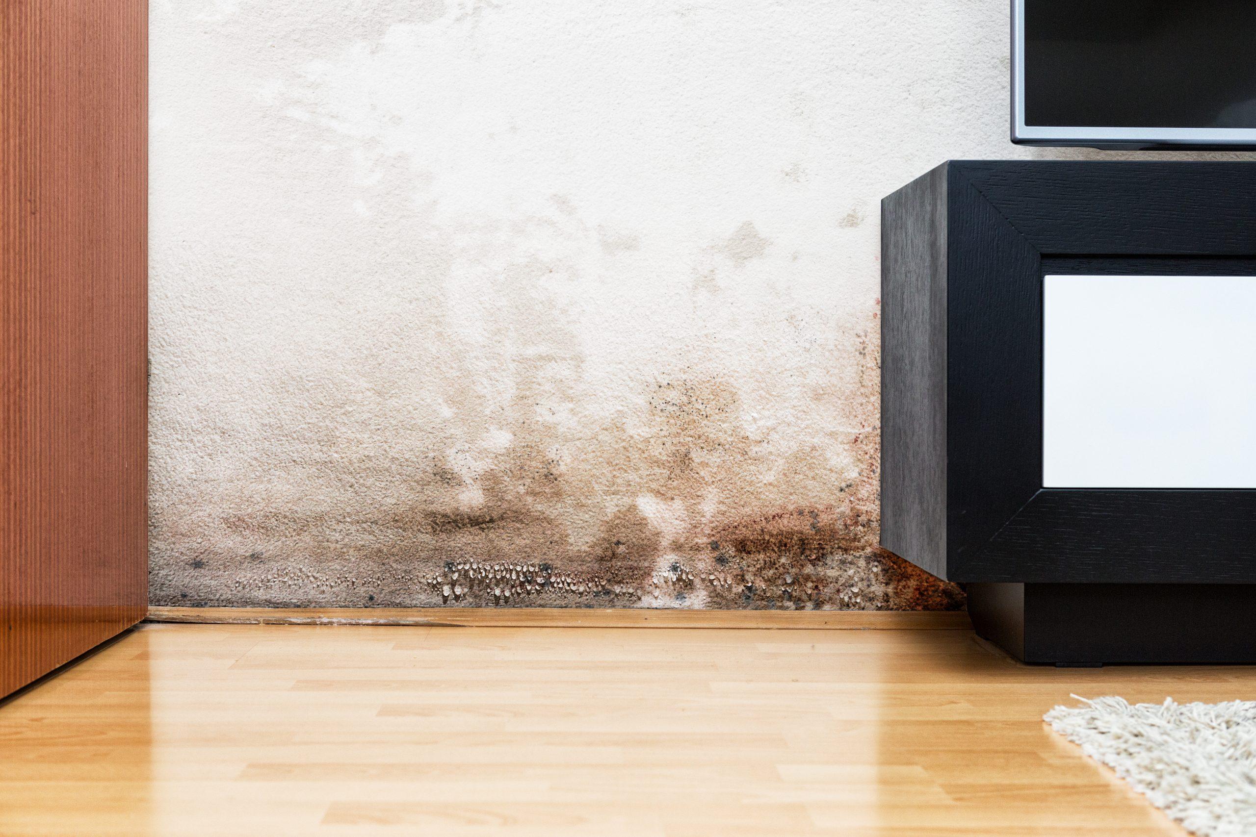 You are currently viewing Installing an anti-damp device: mistakes to avoid