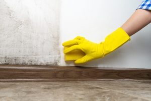 Lire la suite à propos de l’article Inverseur de polarité humidité : avis, efficacité et limites