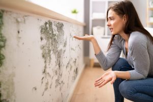 Lire la suite à propos de l’article Maison ancienne humide : causes et solutions adaptées
