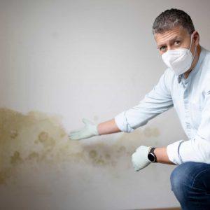 traitements remontées capillaires