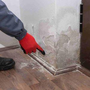 traitements remontées capillaires