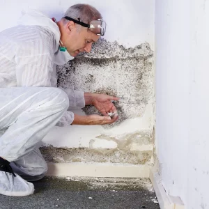 traitements remontées capillaires